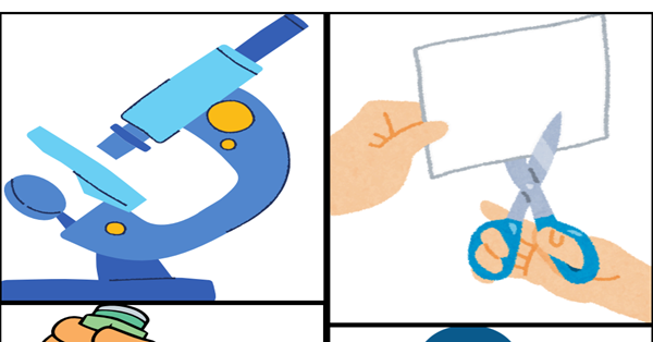 4. Sınıf 6. Ünite Fun With Science Flashcards