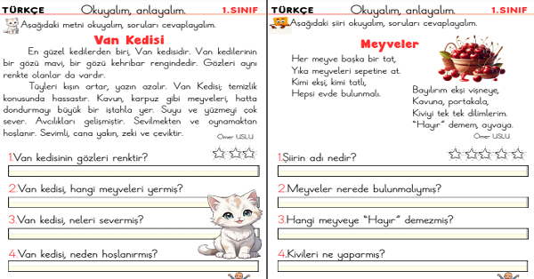 1. Sınıf İlk Okuma Yazma V Sesi Okuma Anlama Etkinliği