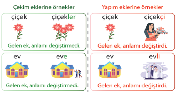 4. Sınıf Türkçe Ekler (Yapım Eki -Çekim Eki) Etkinliği