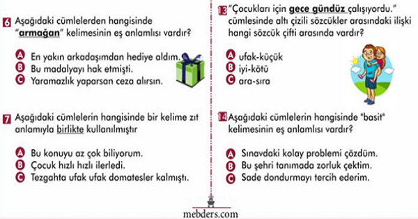 2. Sınıf Türkçe Eş Anlamlı ve Zıt Anlamlı Kelimeler Kazanım Testi