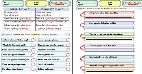 2. Sınıf Türkçe Kurallı ve Kuralsız Cümleler Etkinliği-2