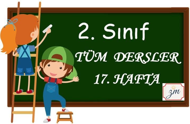 2. Sınıf 17. Hafta Tüm Derslerin Etkinlikleri
