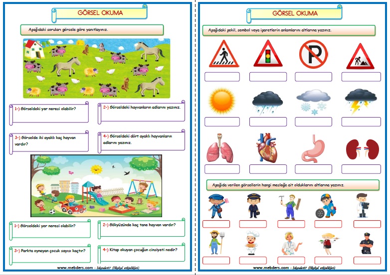 2. Sınıf Türkçe Görsel Okuma Etkinlik Çalışması (4 Sayfa)