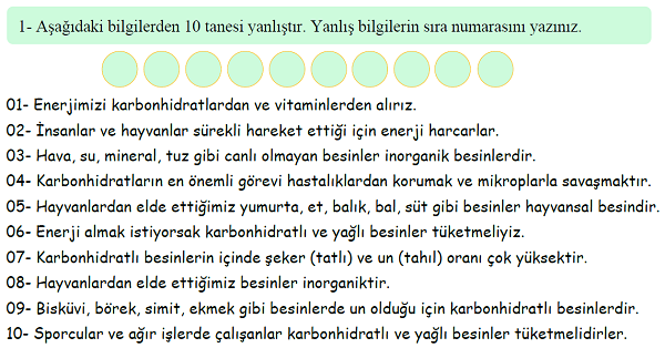 4. Sınıf Fen Bilimleri Besinlerimiz Doğru-Yanlış Etkinliği