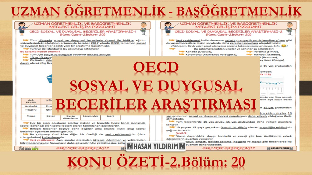 OECD Sosyal ve Duygusal Beceriler Araştırması (Konu Özeti-2.Bölüm:20)