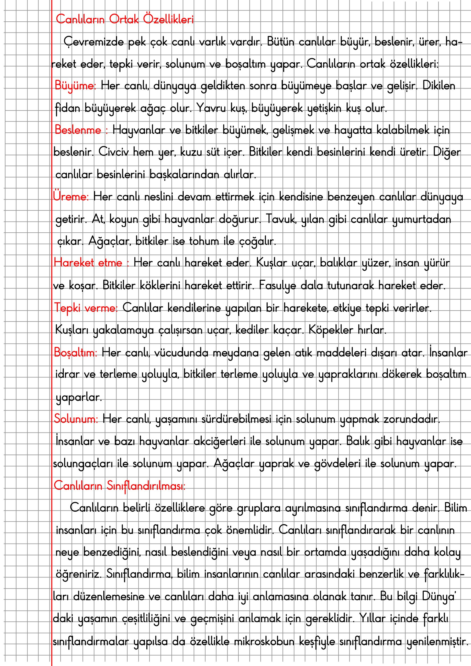 3.Sınıf Fen Bilimleri Canlıların Sınıflandırılması Konu Anlatımı
