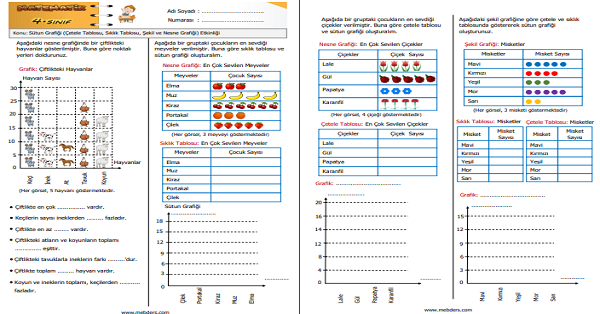 4. Sınıf Matematik Verilerin  Farklı Gösterimleri (Çetele Tablosu, Sıklık Tablosu,  Nesne ve Şekil Grafiği) Etkinliği 5