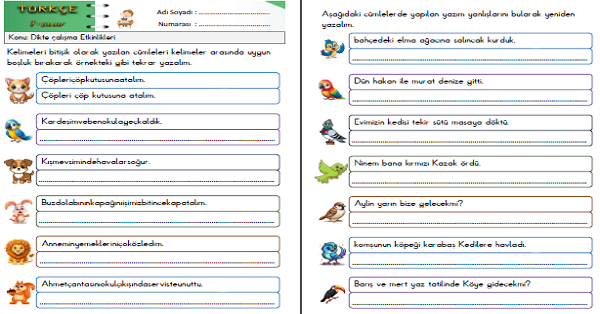 1. Sınıf Türkçe Dikte Çalışması ve Yazım Kuralları Etkinlikleri