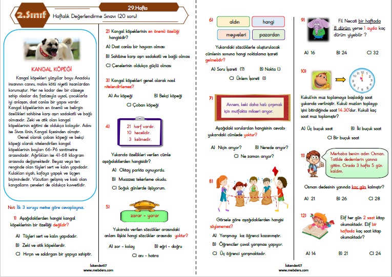 2. Sınıf Haftalık Değerlendirme Testi - 29.Hafta (24-28 Nisan)