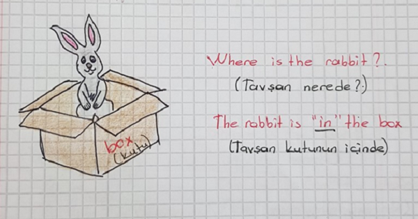 2. Sınıf İngilizce Unit 8 Pets Ders Notları