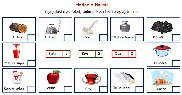 3. Sınıf Fen Bilimler Maddenin Halleri Etkinliği 1