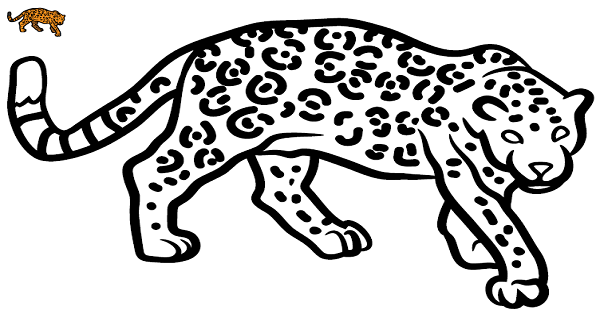 1. Sınıf İlk Okuma Yazma J-j Sesi Jaguar Boyama