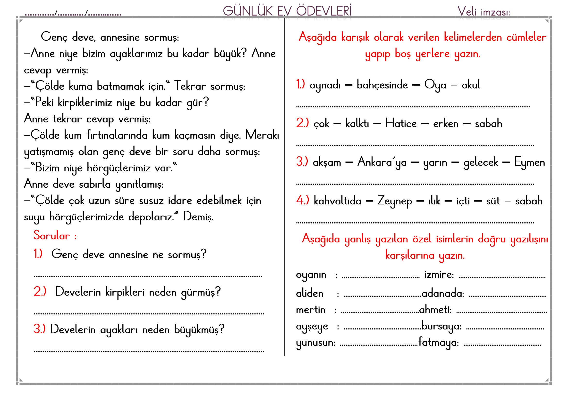 1. Sınıf - 03 Şubat 2026 Günlük Ev Ödevleri
