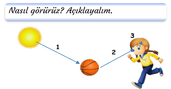 3. Sınıf Fen Bilimleri Işığın Görmedeki Rolü ve Işık Kaynakları Etkinlikler