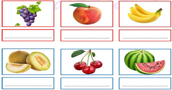 1. Sınıf Türkçe Yazma Dikte Çalışmaları-2