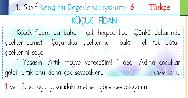 1. Sınıf Genel Değerlendirme 6