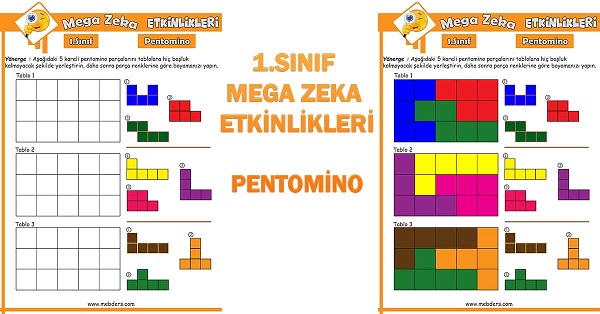 1. Sınıf Mega Zeka Etkinliği - Pentomino