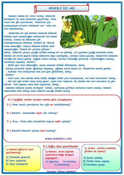 2. Sınıf Türkçe Benekli ile Arı Okuma Anlama Metin Çalışması 25