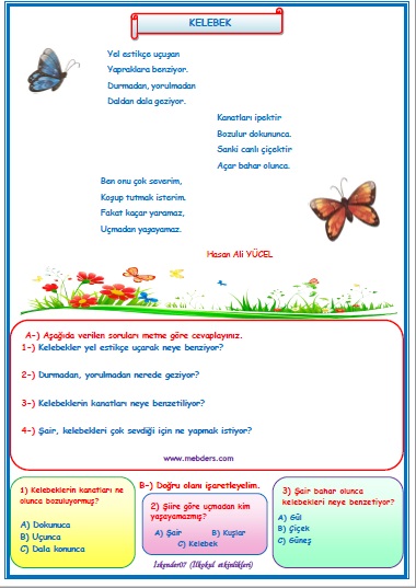 2. Sınıf Türkçe Kelebek Şiiri Okuma Anlama Metin Çalışması 3