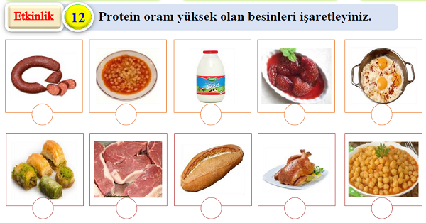 4. Sınıf Fen Bilimleri Besinler ve İçerikleri Etkinliği 2