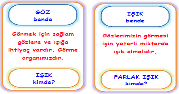 3. Sınıf Fen Bilimleri Işık ve Ses Kart Oyunu