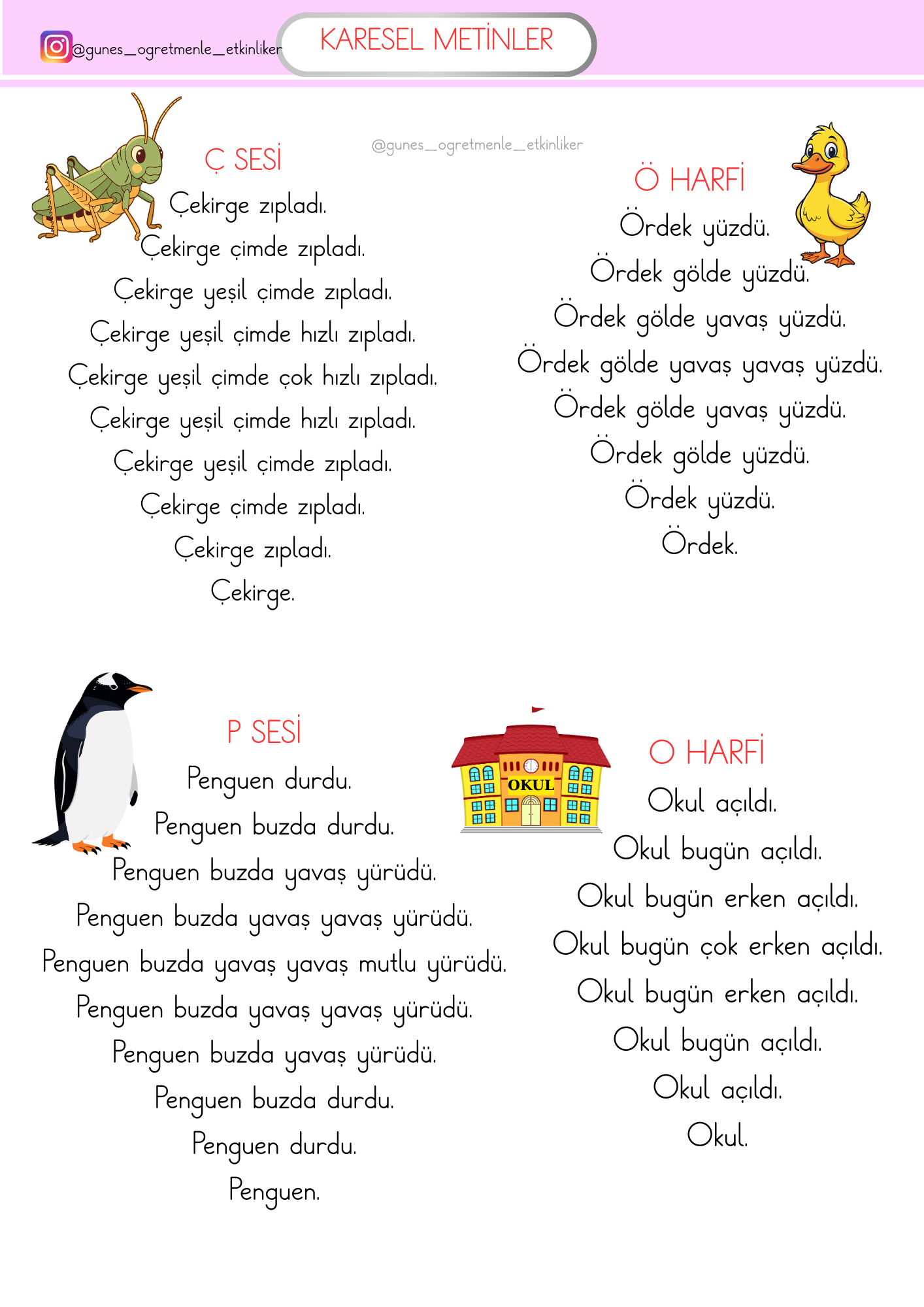 1. Sınıf Türkçe Karesel Metinler