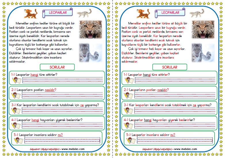 1. Sınıf Türkçe Leoparlar Okuma Anlama Metin Çalışması 8