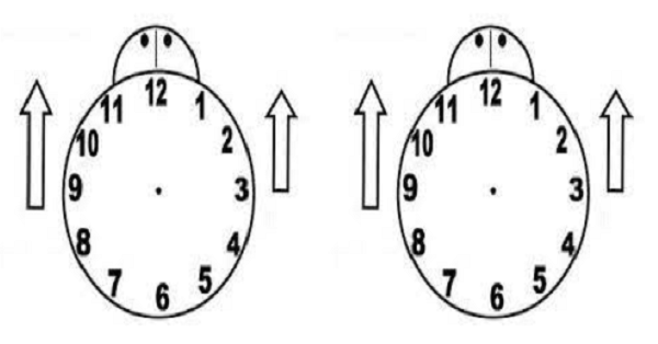 3. Sınıf Matematik Saatler Kes Yapıştır Boya Etkinliği