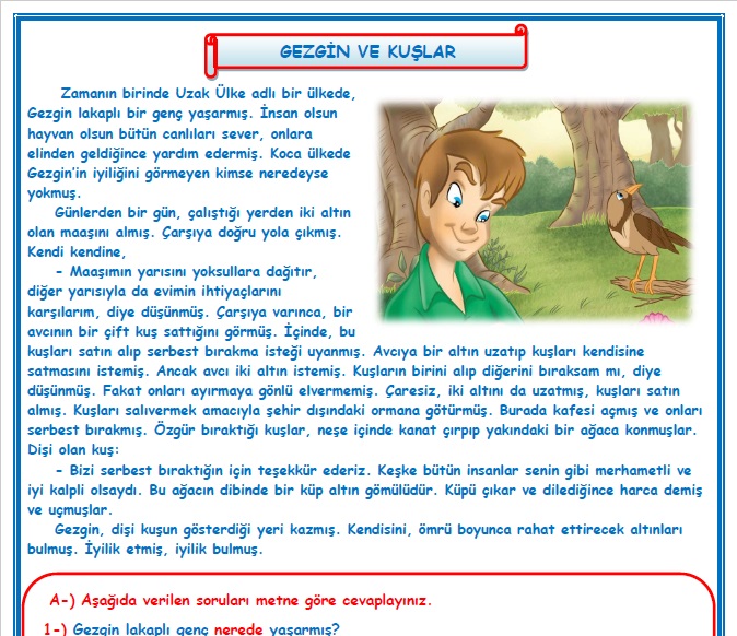 2. Sınıf Türkçe Gezgin Kuşlar Okuma Anlama Metin Çalışması