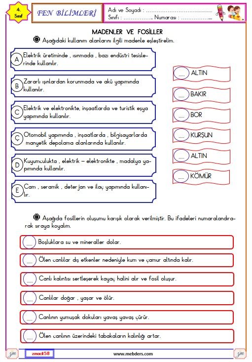 4. Sınıf Fen Bilimleri Madenler ve Fosiller Etkinliği 2