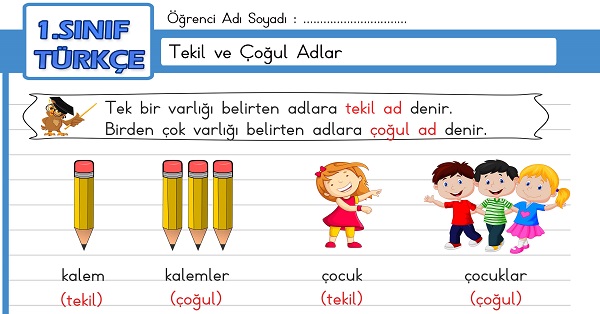 1. Sınıf Türkçe Tekil ve Çoğul Adlar Etkinliği