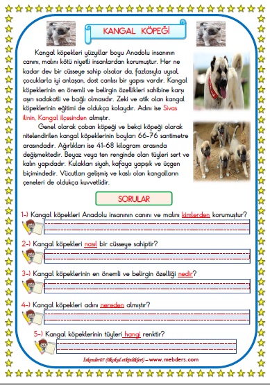 1. Sınıf Türkçe Kangal Köpeği Okuma Anlama Metin Çalışması 14