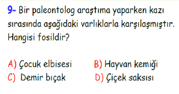 4. Sınıf Fen Bilimleri Yer Kabuğu ve Dünyamızın Hareketleri Yaprak Testi-3