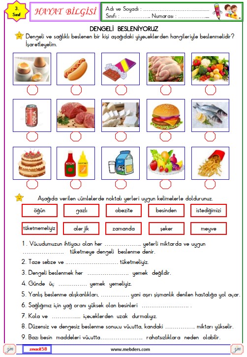 3. Sınıf Hayat Bilgisi Dengeli Besleniyoruz Etkinliği
