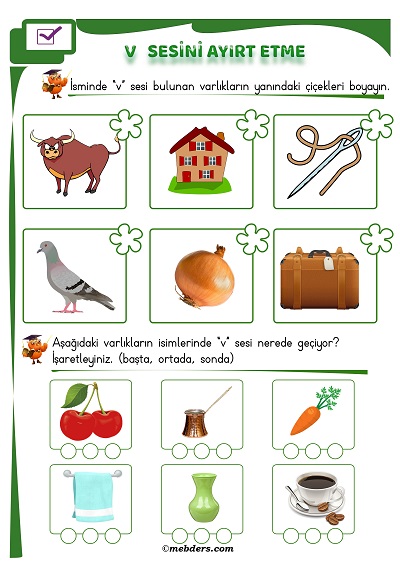 1. Sınıf İlkokuma V Sesi Ayırt Etme Etkinliği