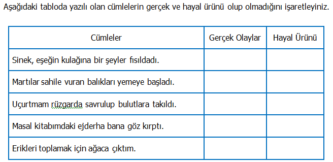 3. Sınıf Türkçe Gerçek ve Hayal Ürünü İfadeler Etkinliği 2