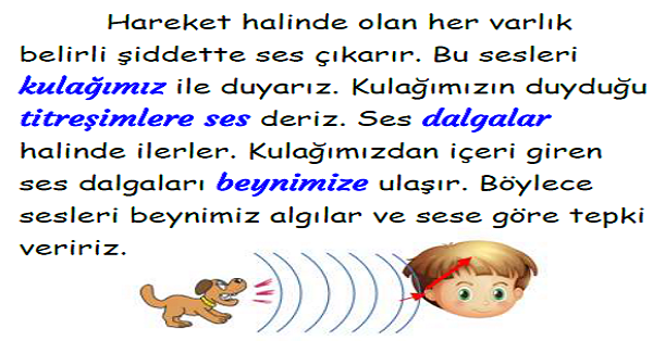 3. Sınıf Fen Bilimleri Çevremizdeki Sesler Konu Özeti