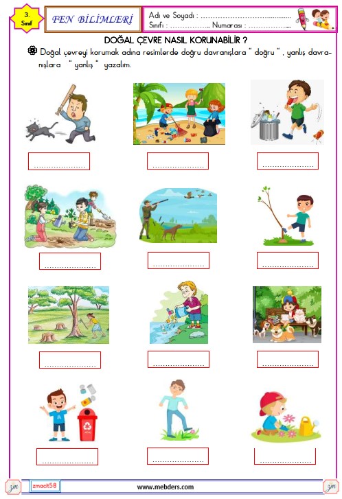 3. Sınıf Fen Bilimleri Doğal Çevre Nasıl Korunabilir Etkinliği 3
