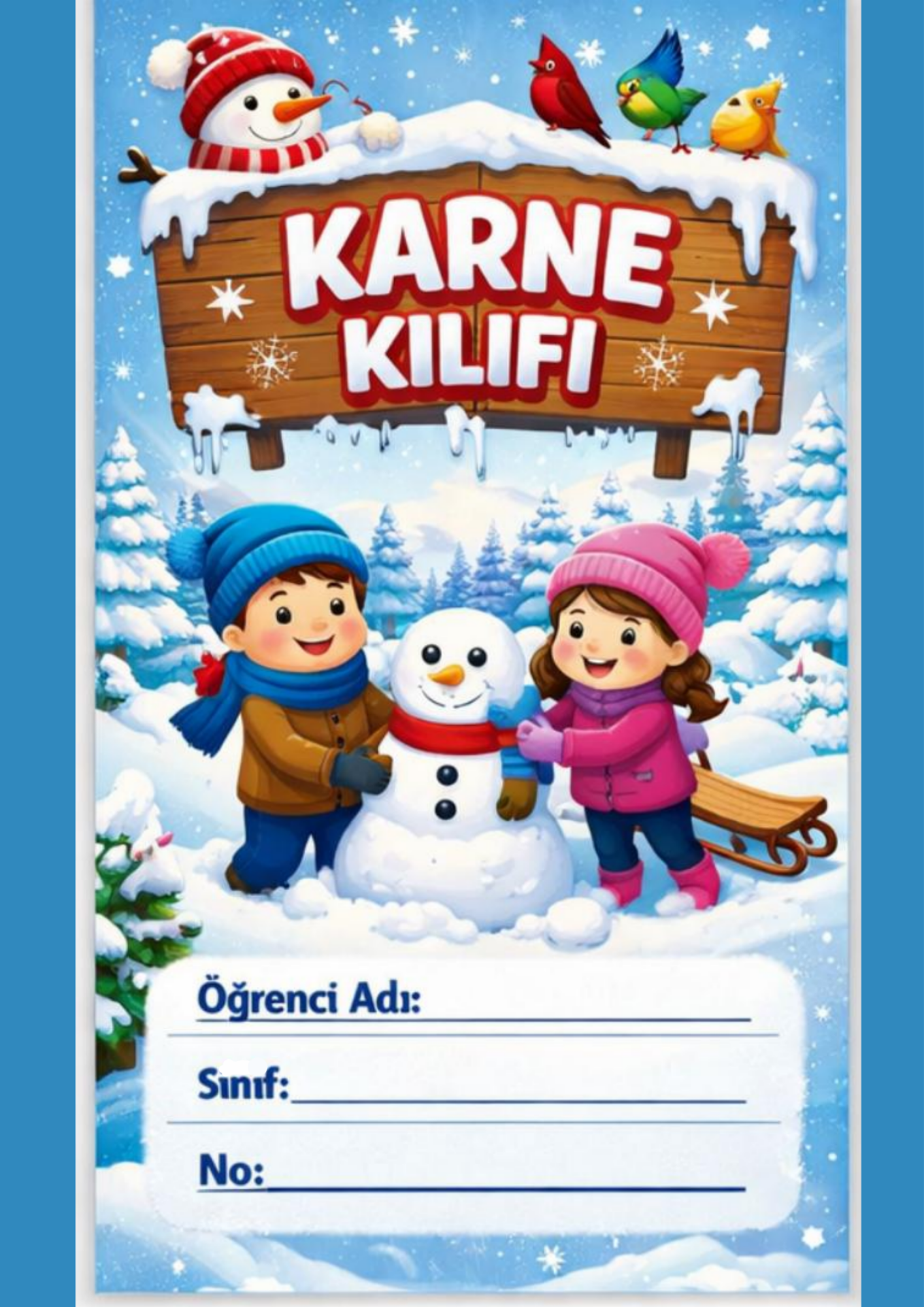 Karne Kılıfı Kış Konsepti (12 Çeşit)