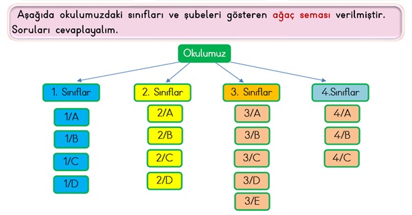 2. Sınıf Matematik Veri Toplama-6