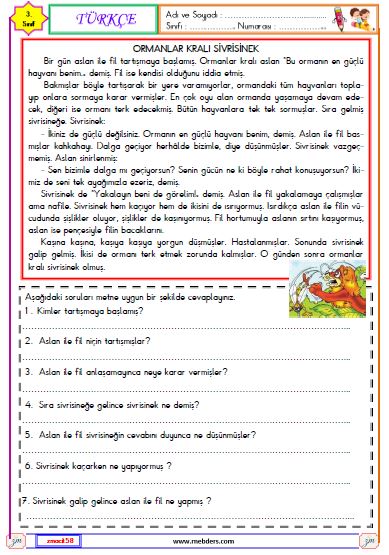 3. Sınıf Türkçe Okuma ve Anlama Etkinliği (Ormanlar Kralı Sivrisinek )